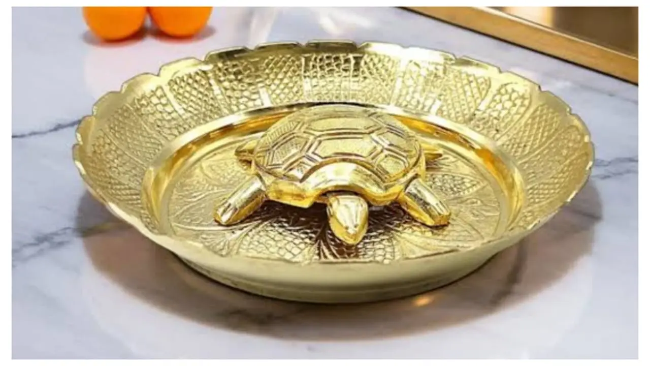 Vastu Tips For Tortoise
